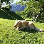 Mas * Dovje