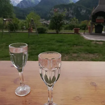 아파트 Mas 도브예